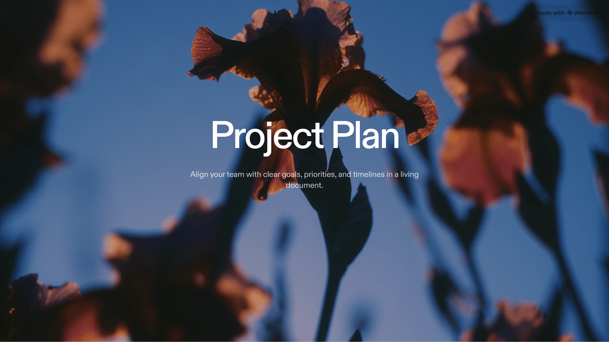 project-plan-01